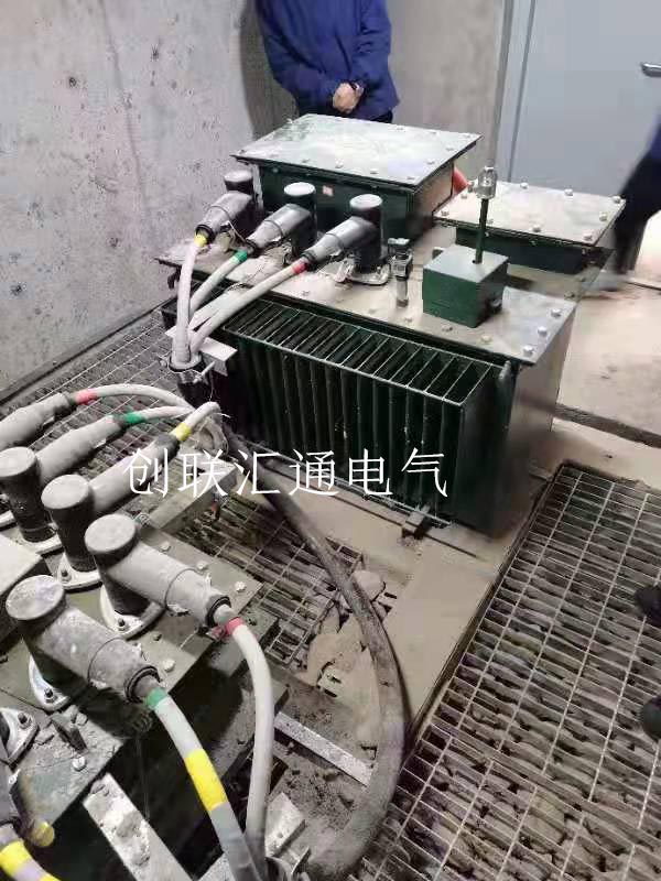 S13-MRD-160-10/0.4 地埋变上海世博园管廊案例详情